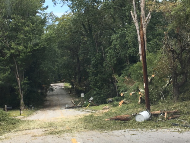 Just two blocks from APD'S Zone 4 Precinct, off Cascade Road are downed trees & power lines four days after Irma. This block is still without power.